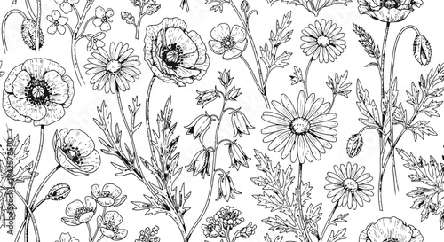 Wildflower Line Art PatternPoppies Daisies Bellflowers