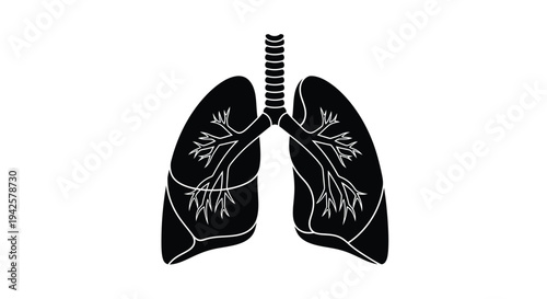 Anatomical illustration of human lungs depicted in black and white
