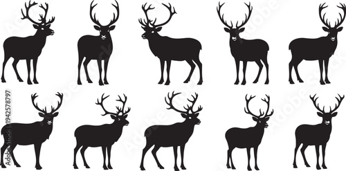 Silhouettes of Deer with Antlers on White Background