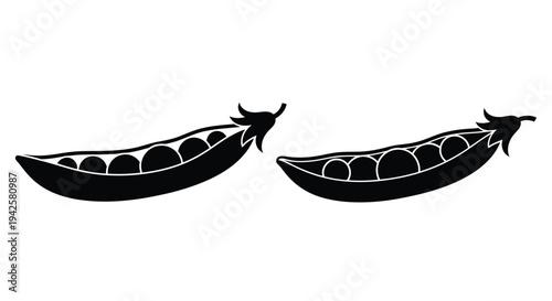 Two open pea pods displaying multiple round peas within black and white