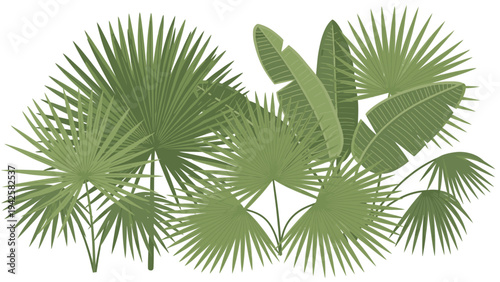 Collection of various green palm leaves on a white background in a flat lay composition with a natural and serene mood.