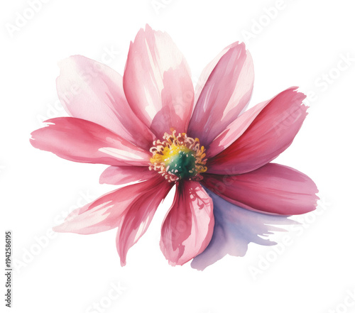 Vibrant Pink Flower Watercolor Illustration - Isolated Botanical Floral Art