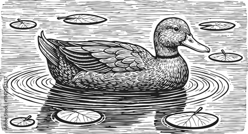 duck swimming in pond surrounded by lily pads hand drawn vintage wildlife illustration