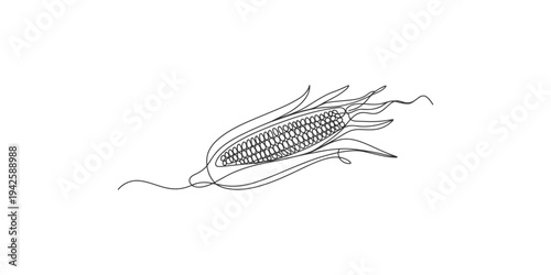 A black and white line drawing of an ear of corn with husk and leaves