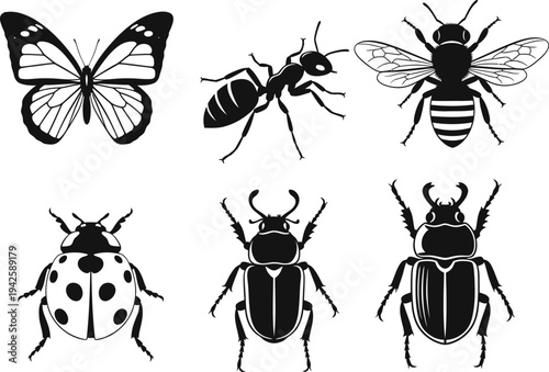 A collection of monochrome insect illustrations showcases a butterfly ant bee ladybug and various beetles presented in a simple style