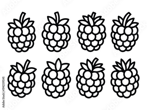 Eight ripe raspberry fruit line icons.