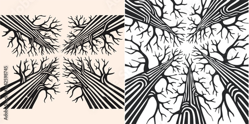 Upward View Intertwining Tree Roots Branches Forest Canopy