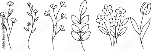 Set of 6 minimalist floral icons vector