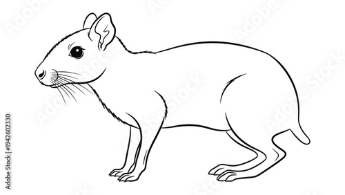 Rodent in Profile: A precise outline illustrates a rodent in a side profile, emphasizing its unique features and anatomical details.