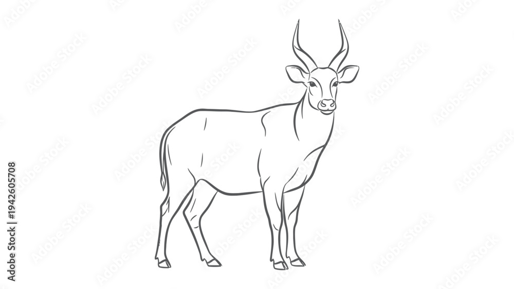 Obraz premium Sketch of the African Antelope: An elegant drawing of an African antelope, showcasing its graceful form and the distinctive curved horns. 