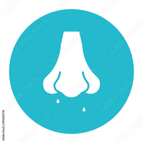 Nasal Cavity Icon