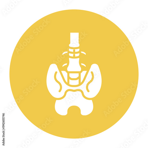Pelvis Icon