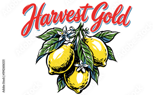 Harvest Gold lemons artwork. Fresh citrus fruit design for t-shirt print, poster, sticker, and farmhouse kitchen decor.