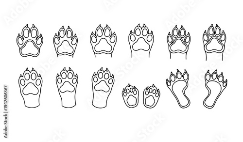 Dog Cat and Tiger Paw Print Vector Set Animal Footprint Outline Collection