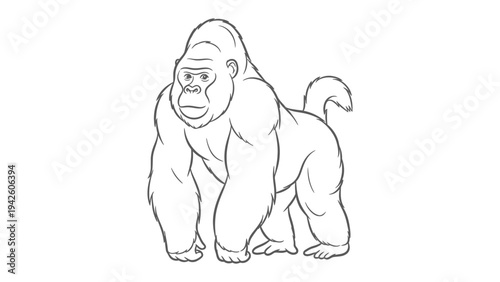 Gorilla illustration : A strong gorilla stands boldly in a display of power. Captured with simple lines