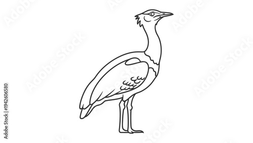 Obraz na plátne Bustard Outline Drawing: A simplified line drawing of a large bird, possibly a bustard, with its distinctive features clearly outlined against a plain background