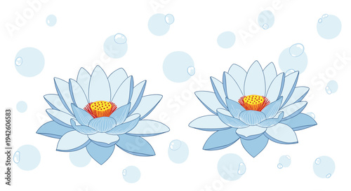 Two beautiful light blue lotus flowers blooming amongst soft blue water bubbles in a serene and tranquil composition on a white background.