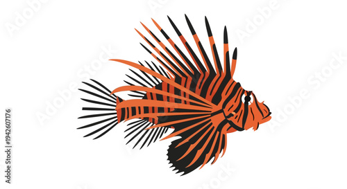 Lionfish Marine Animal.