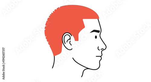 Man Balding Red Hair.