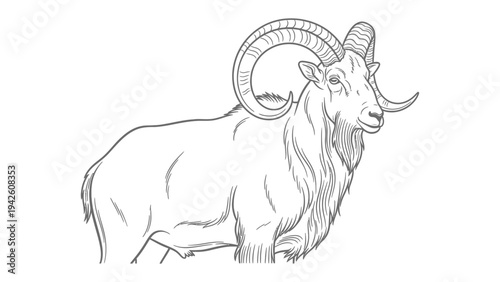 Artistic Ram Illustration: Detailed line art showcases a majestic ram with impressive horns, offering a study in wildlife and artistic skill.