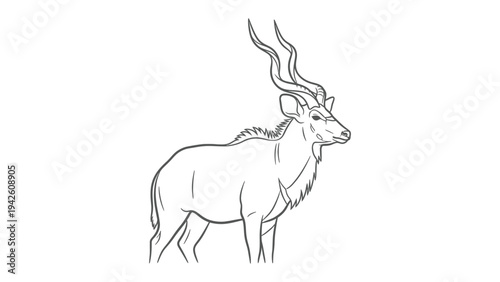 Kudu Line Art: A graceful kudu, its impressive spiraling horns and elegant form depicted in a clean, minimalist line drawing, representing a powerful symbol of African wildlife.