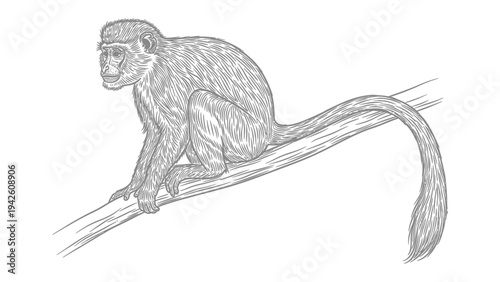 Monkey on a Branch: A sketch of a monkey perched on a tree branch, looking attentively to the left.