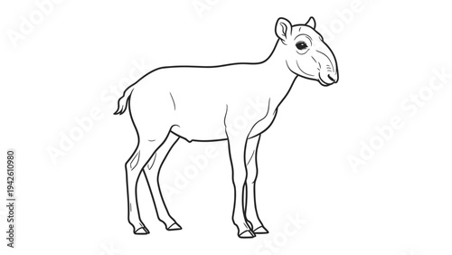 Saiga Antelope Sketch: A detailed line drawing showcases the unique profile of a saiga antelope, a critically endangered species, emphasizing its distinctive nose and slender form.