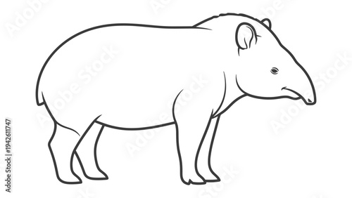 Tapir Illustration: A detailed line drawing of a tapir, showcasing its distinctive features.
