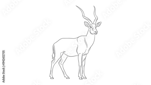 Majestic Antelope Sketch: A stunning illustration showcases an antelope with impressive, spiraling horns, standing tall with an air of elegance.