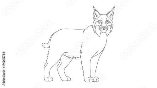 Lynx Sketch: A detailed, monochromatic sketch presents a majestic lynx, its sharp features and alert posture hinting at the wild beauty. 