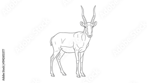 Gazelle in Silhouette: A sleek gazelle, its elegant form rendered in stark silhouette, stands gracefully. The creature’s elongated neck and upward-sweeping horns define its poised presence.