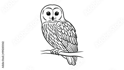 Wise Owl Perched: A detailed, monochrome illustration of a majestic owl perched gracefully on a branch, its intelligent eyes captivating the viewer. 
