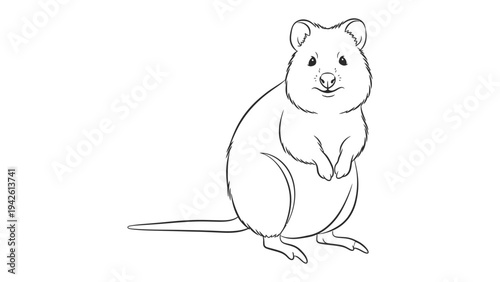 Quokka Sketch: A delightful hand-drawn quokka illustration, showcasing its characteristic grin and charming posture.