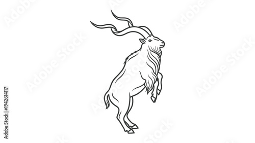 Markhor Standing Illustration: Elegant markhor with striking curved horns is depicted with stand in illustration against a crisp.