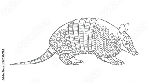 Armadillo Sketch: A detailed illustration of an armadillo, showcasing its unique armored shell and distinct features.