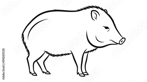 Monochrome Marvel: A striking black-and-white line drawing presents a collared peccary, its unique collar-like marking and stout form skillfully captured, standing out starkly.