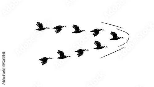 migratory birds, black isolated silhouette