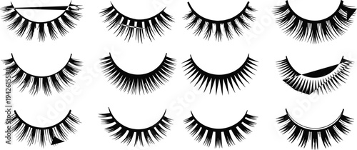 Set of black false eyelashes silhouettes and vector icons featuring various lash styles like volume long and thick for beauty