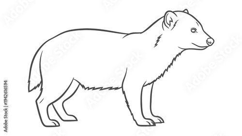 Simple Line Drawing of a Fisher: An illustration showing the outline of a fisher animal with clear, minimalist lines on a white canvas.