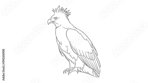 Majestic Bird of Prey: An illustration of a powerful eagle, its keen gaze and strong talons hinting at the wild beauty of nature.
