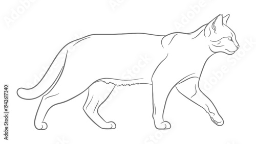 Elegant Cat Silhouette: A sleek outline of a cat gracefully strides forward, a testament to feline elegance and agility. The simple yet striking silhouette embodies the essence of the animal's poise.