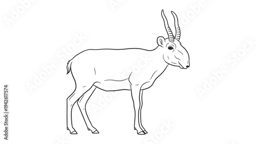 Saiga Antelope Sketch: A detailed line drawing showcases the unique features of the saiga antelope, a critically endangered species, emphasizing its distinctive nose and slender build.