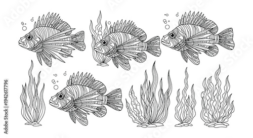 Detailed line art illustration of tropical fish and aquatic plants