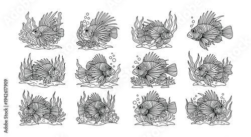 Detailed line art illustration of tropical fish and aquatic plants