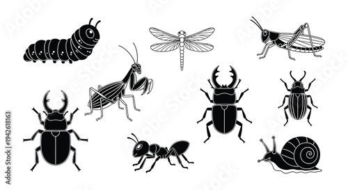Collection of various black and white insect illustrations displayed on white