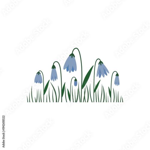 Εκτύπωση καμβά Small group of spring blue scilla flowers growing in green grass