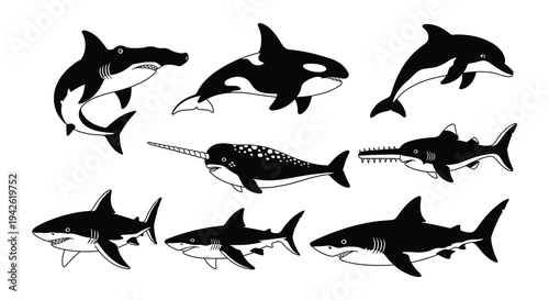A collection of various marine predators in a black and white style