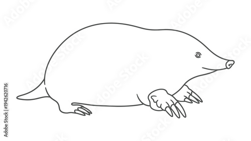 Mole Outline: A minimalist outline of a mole, presenting a simple yet distinctive image.