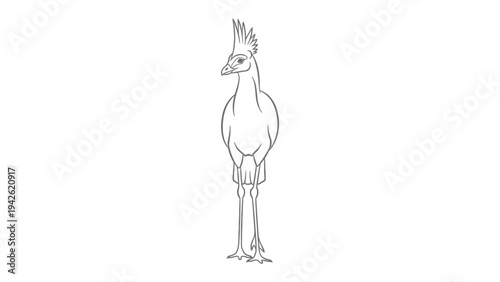 Striking Crested Bird Line Art