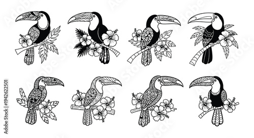 Stylized toucan illustrations with tropical flowers and foliage in black and white